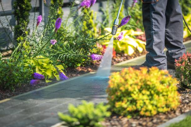 Professional Pressure Washing in Vass, NC